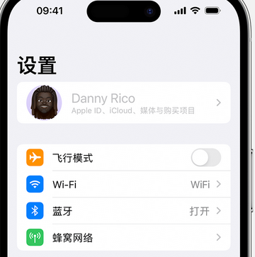 贺兰appleID维修服务iPhone设置中Apple ID显示为灰色无法使用 