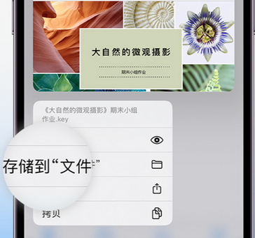 贺兰apple维修中心分享iPhone文件应用中存储和找到下载文件