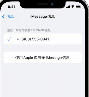 贺兰apple维修iPhone上无法正常发送iMessage信息