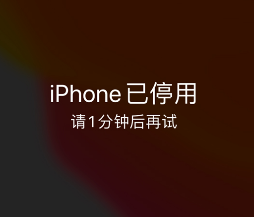 贺兰苹果手机维修分享:iPhone 显示“不可用”或“已停用”怎么办？还能保留数据吗？ 