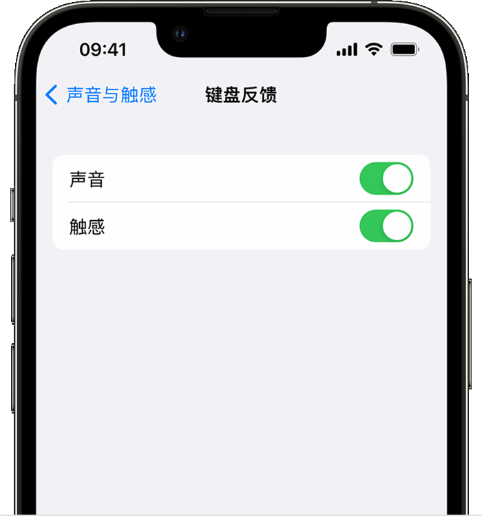 贺兰苹果14维修店分享如何在 iPhone 14 机型中使用触感键盘 