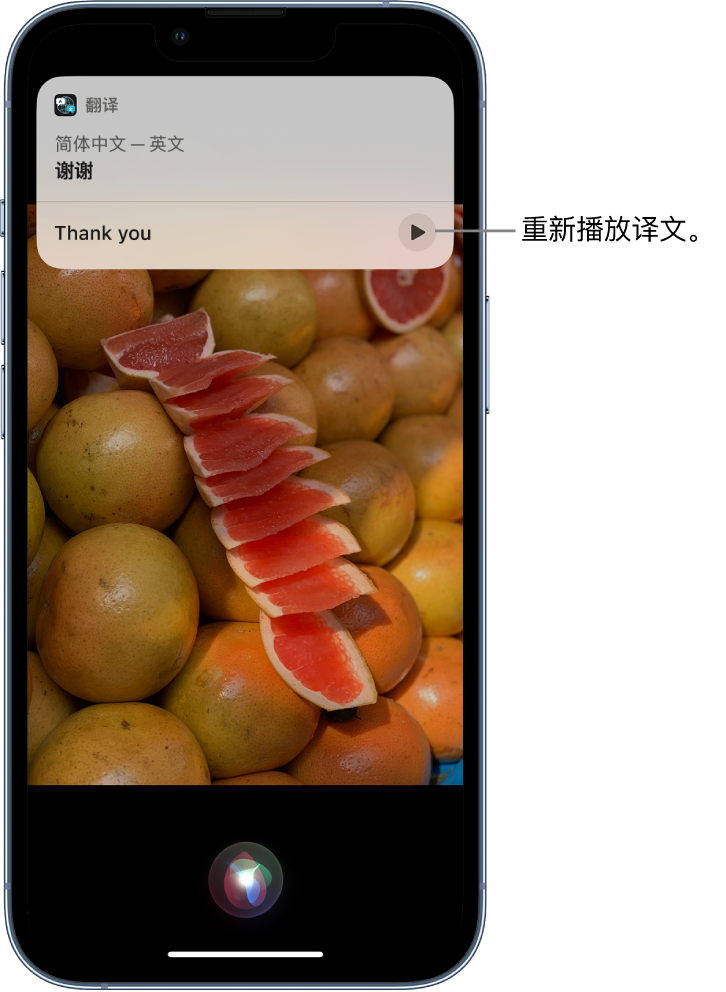 贺兰苹果14维修分享 iPhone 14 机型中使用 Siri：了解 Siri 能帮你做什么 