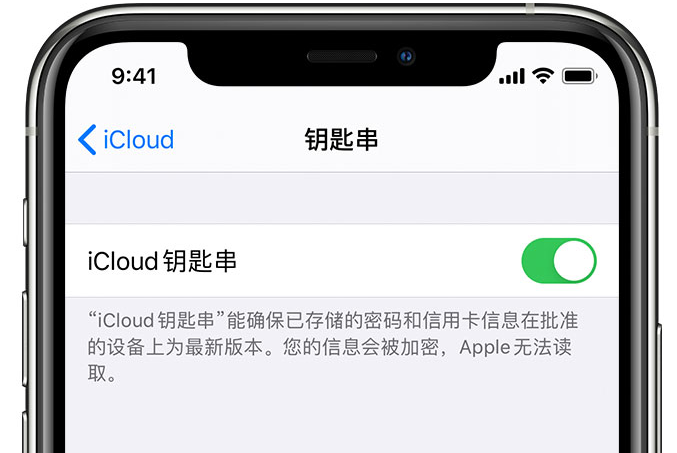 贺兰苹果手机维修分享在 iPhone 上开启 iCloud 钥匙串之后会储存哪些信息 